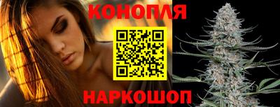 прущие крисы Изобильный