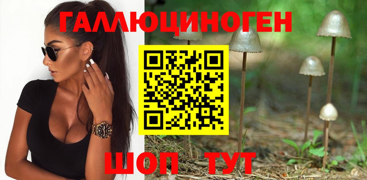 Псилоцибиновые грибы Psilocybine cubensis Калач-на-Дону